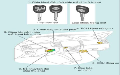 [Code W88 là gì？ Tìm hiểu mã ICD-10 cho phơi nhiễm bức xạ ion hóa]