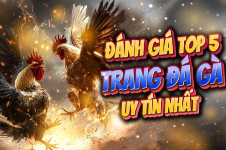Nhà cái uy tín Thần Kê – Sân chơi cá cược đỉnh cao, an toàn nhất