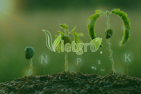 Bạc nhớ lô đề MB – Nghệ thuật soi cầu đỉnh cao từ cao thủ