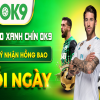 Khám phá 10 nhà cái uy tín siyanks.com hàng đầu cho người mới