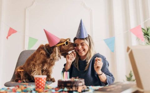 Celebrating Dog Birthdays Wishes And Ideas For A Happy Pet Day