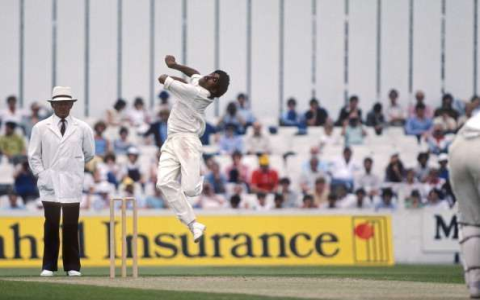 Top Indian Test Wicket Takers Revealing the All Time Leaders