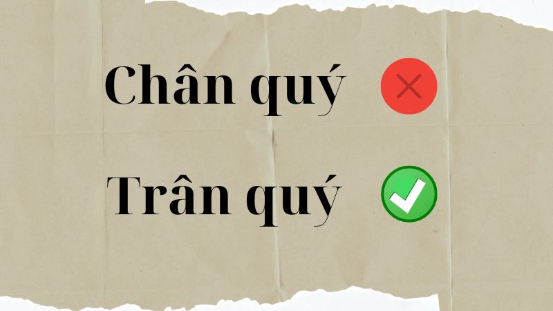 Trân quý hay chân quý nên dùng từ nào đúng chính tả