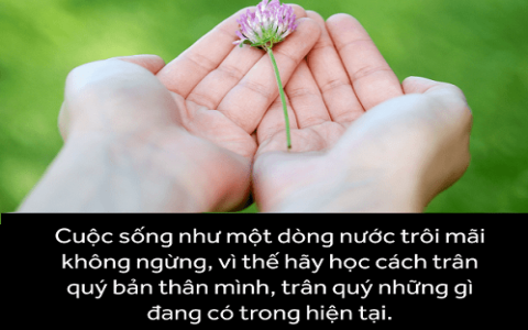 Trân quý hay chân quý nên dùng từ nào đúng chính tả