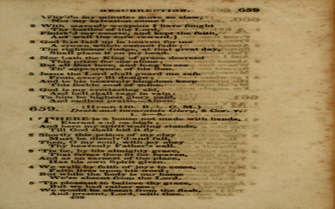 Moving My Body and Feeding My Soul