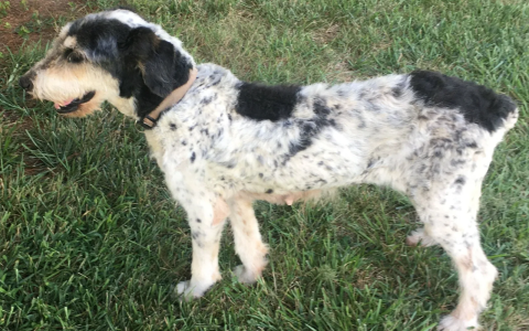 This went on for months